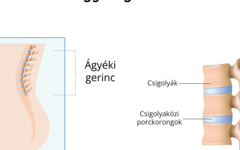 Ágyéki gerinc