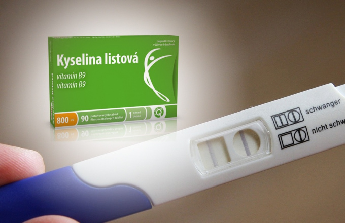 A terhesség második hónapja