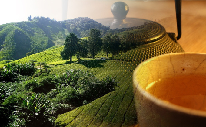 Tea